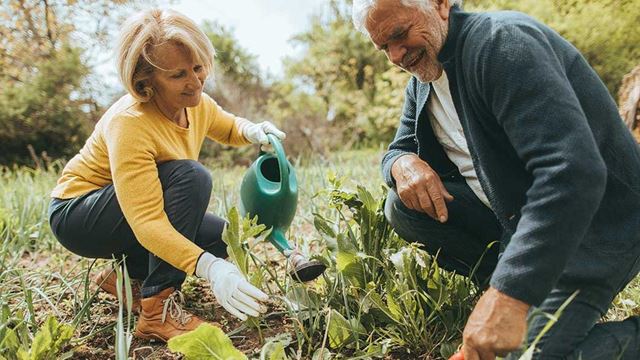 a man and a woman in a garden