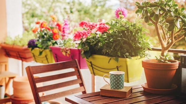 An array of potted plants and flowers create a beautiful balcony garden for retirement