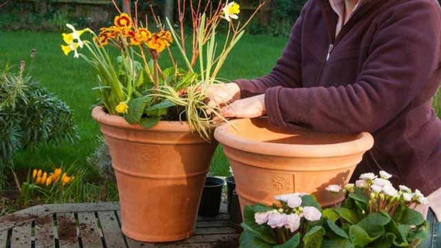 a person watering a potted plant
