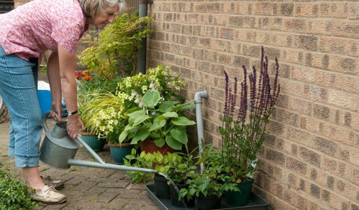 a person tending to a garden