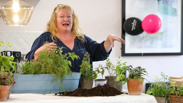 STOUR GATE - Charlie Dimmock