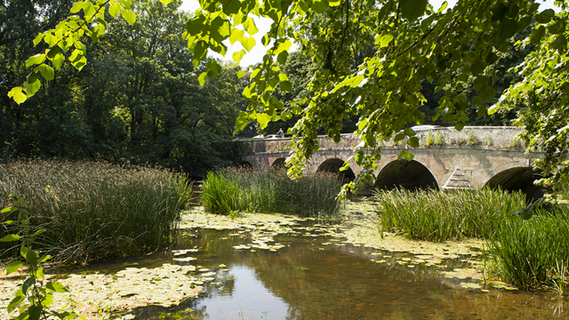 Nature walk & talk event in Blandford St. Mary