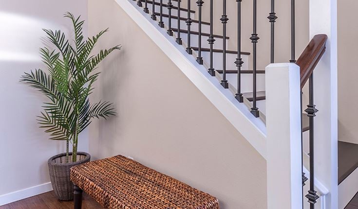 a plant on a staircase