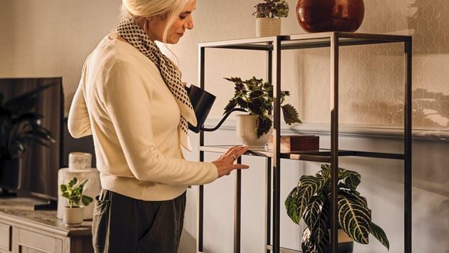 a person looking at a plant