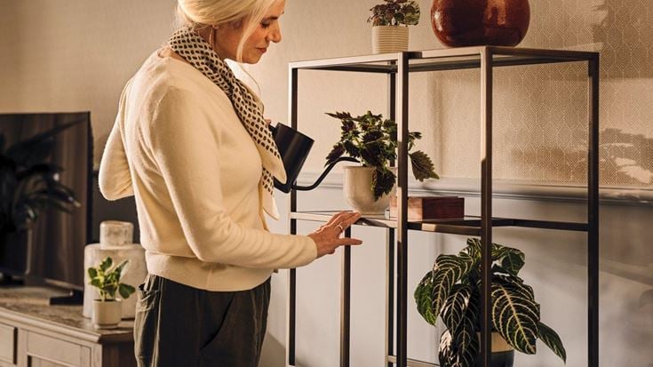 a person looking at a plant