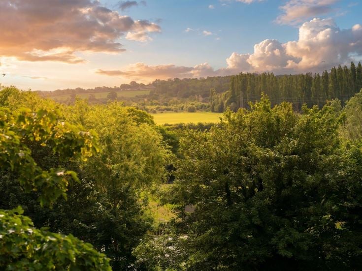 a landscape with trees and hills