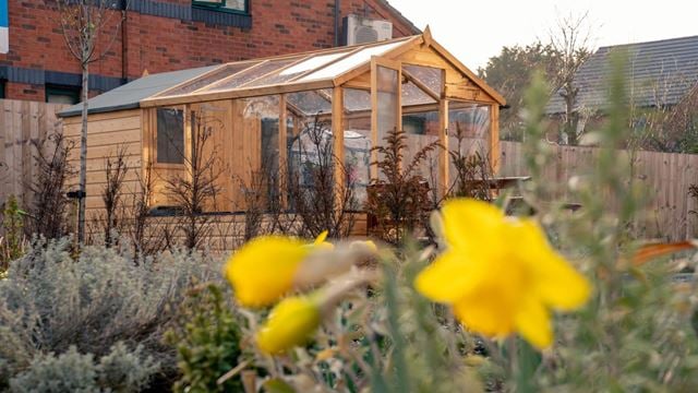 growing together in stafford deans park court retirement properties for rent