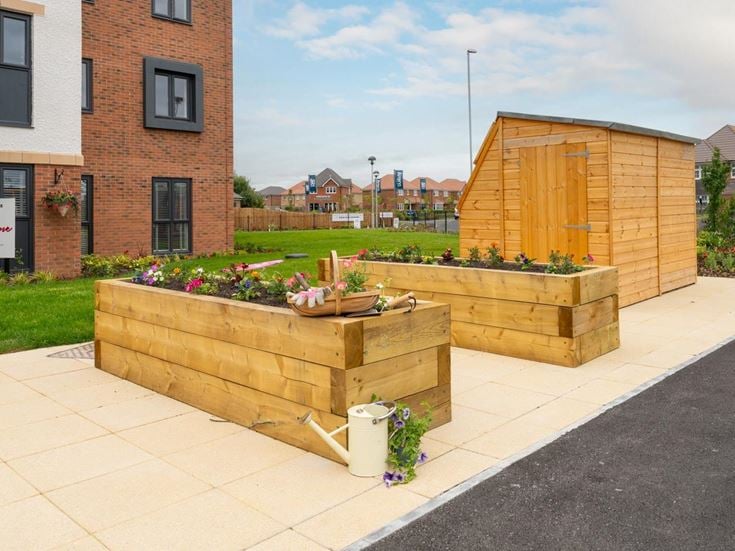 a small garden in a small box