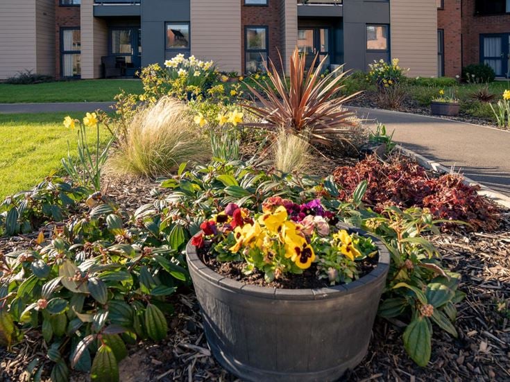 elizabeth place retirement properties for sale rent
