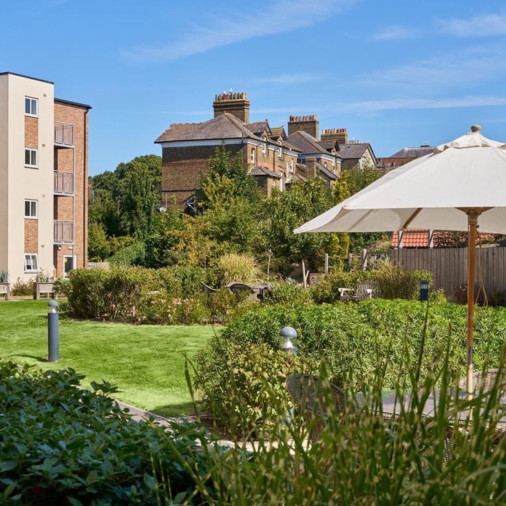 a garden with a white umbrella