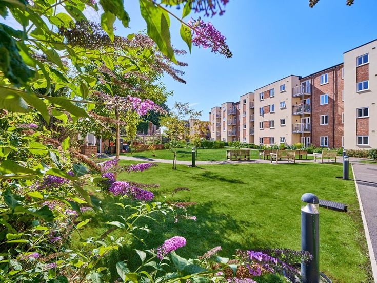 a garden with flowers and trees