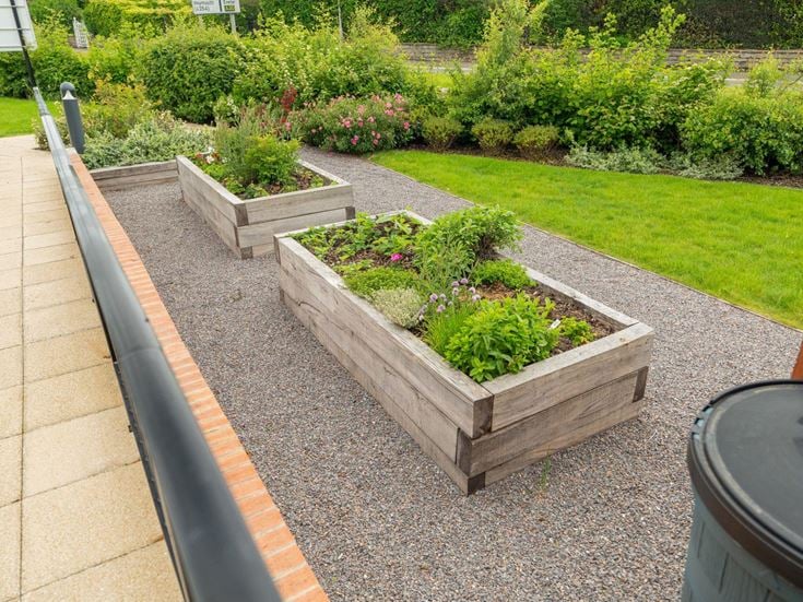 a small garden in a pot