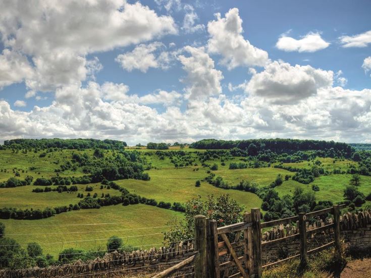 a fence in a field