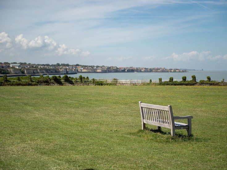 a bench in a grassy field