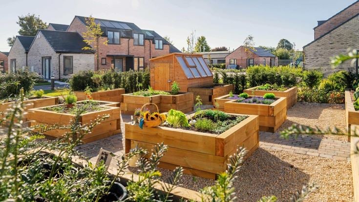 a backyard with a table and plants
