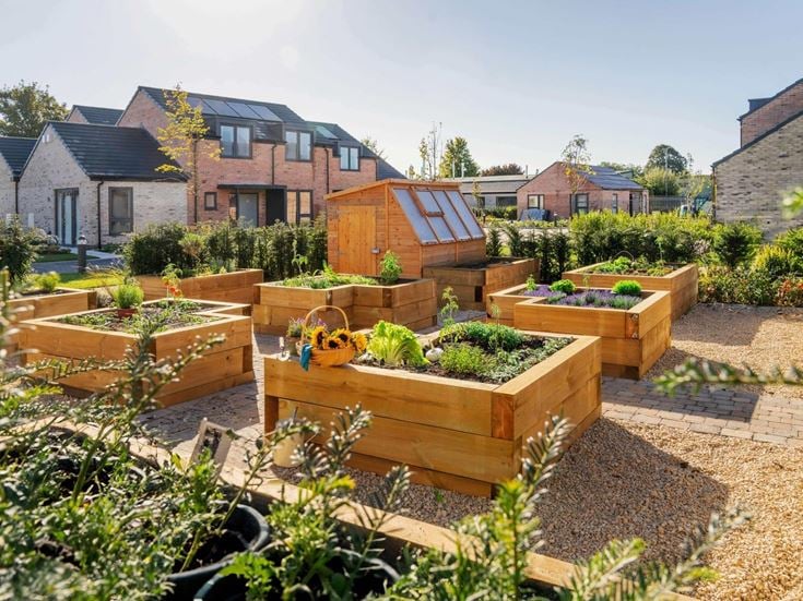 a backyard with a table and plants