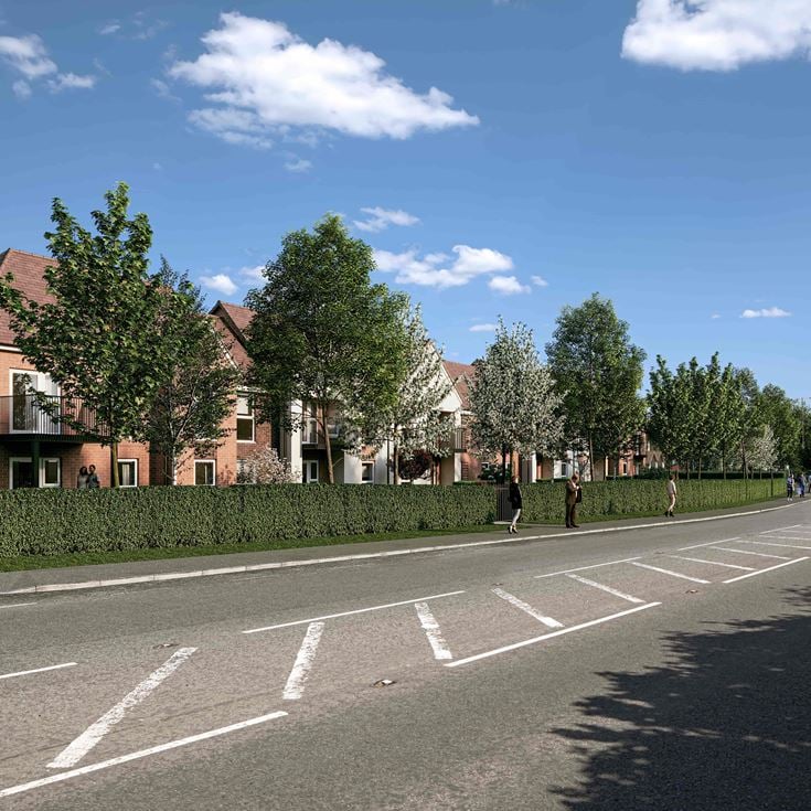a road with trees and a building on the side