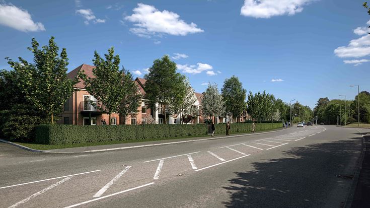 a road with trees and a building on the side