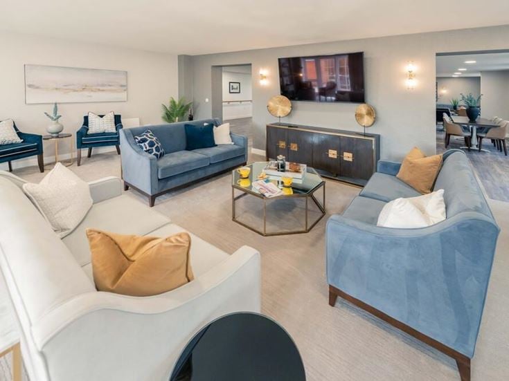 a living room with blue couches
