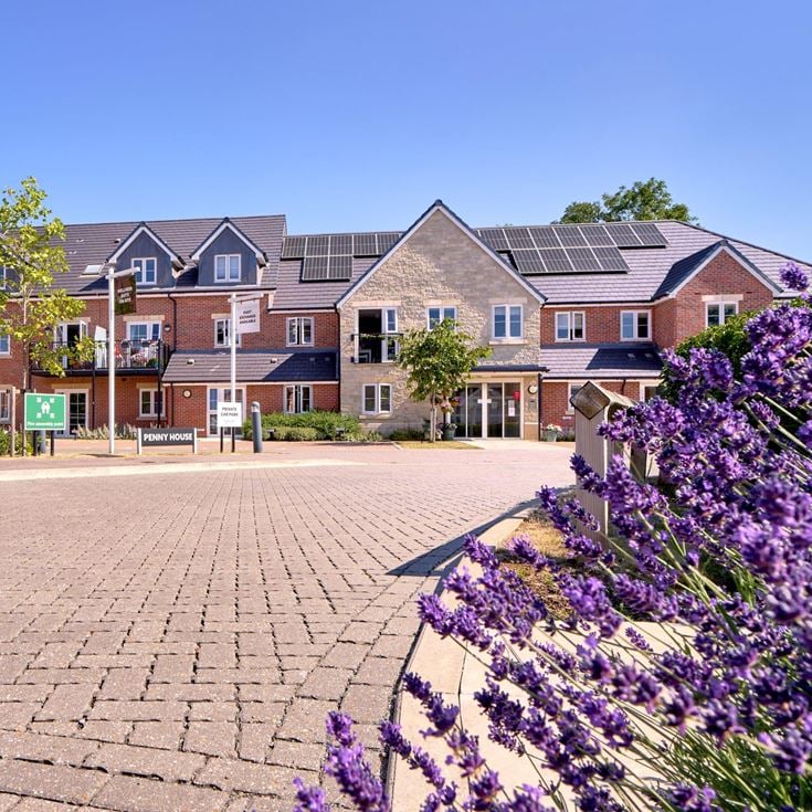a brick path with flowers and trees