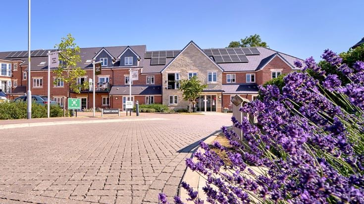 a brick path with flowers and trees