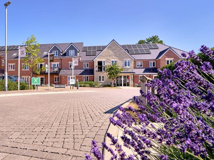a brick path with flowers and trees