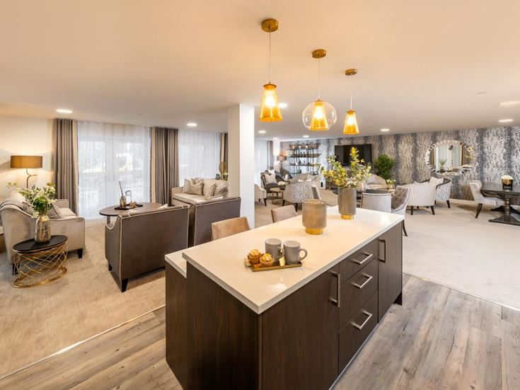 plas elyrch retirement properties for sale rent