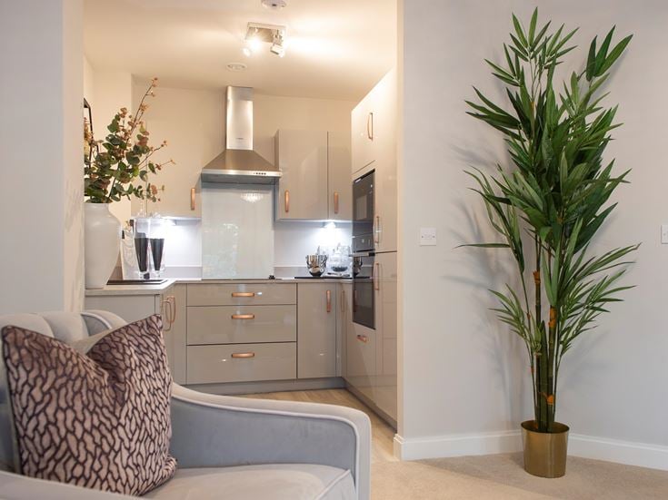 a living room with a plant