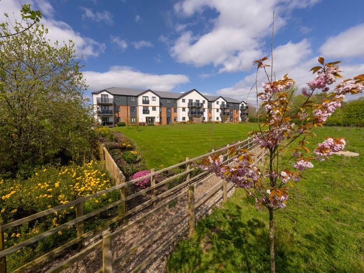 a garden with a fence and a house in the background