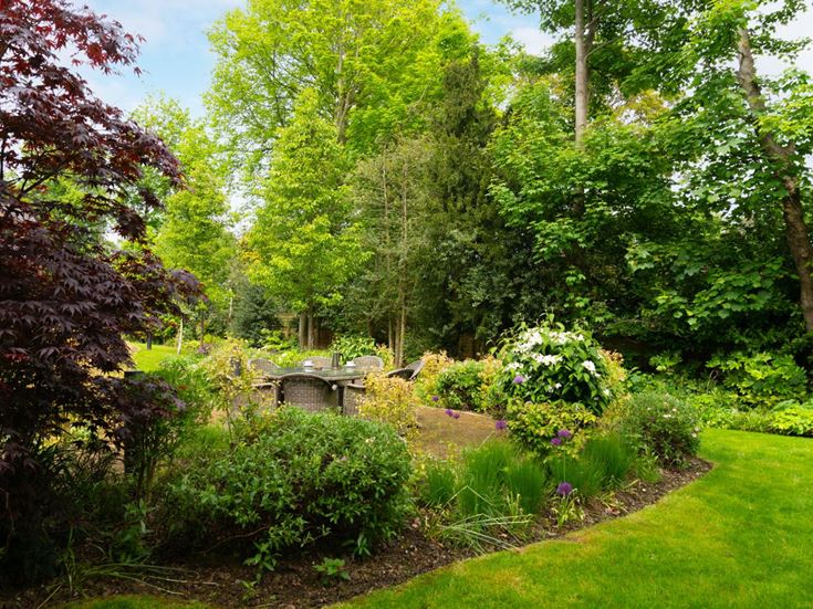 a garden with trees and bushes