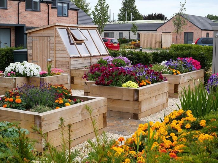 a garden with flowers and a house