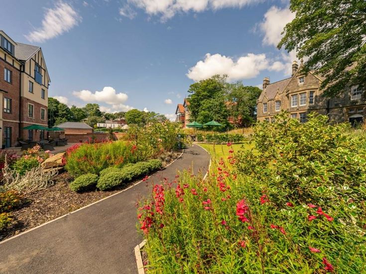 a garden with flowers and plants