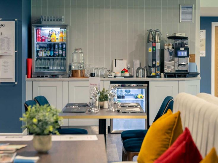 a kitchen with a counter and a plant in a pot