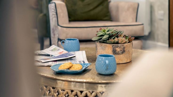 a table with a couple of potted plants and a plate of food