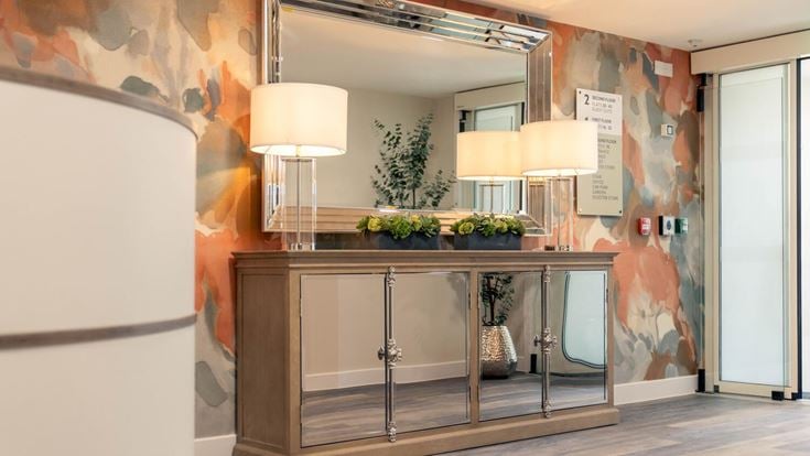 a room with a glass counter and a mirror with a plant on it