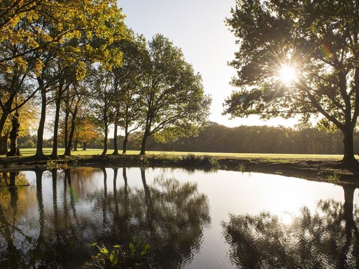 a body of water with trees around it