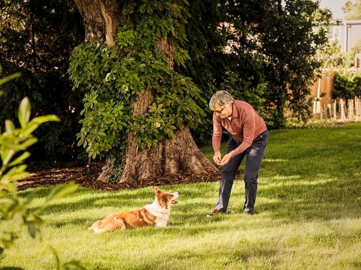 a person and a dog in a yard