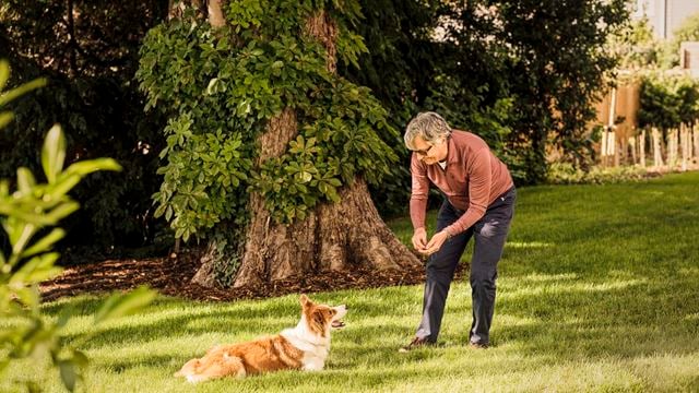 a person and a dog in a yard