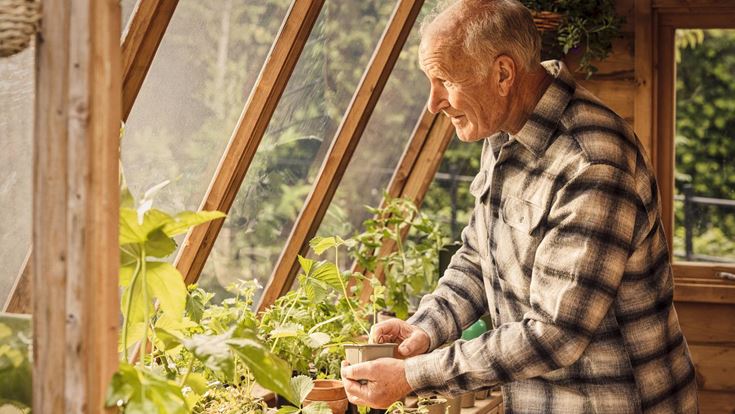 a man in a greenhouse