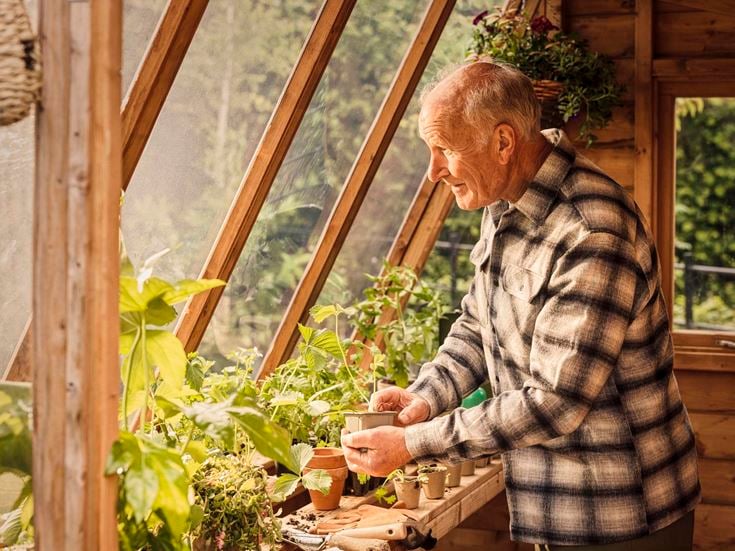 a man in a greenhouse