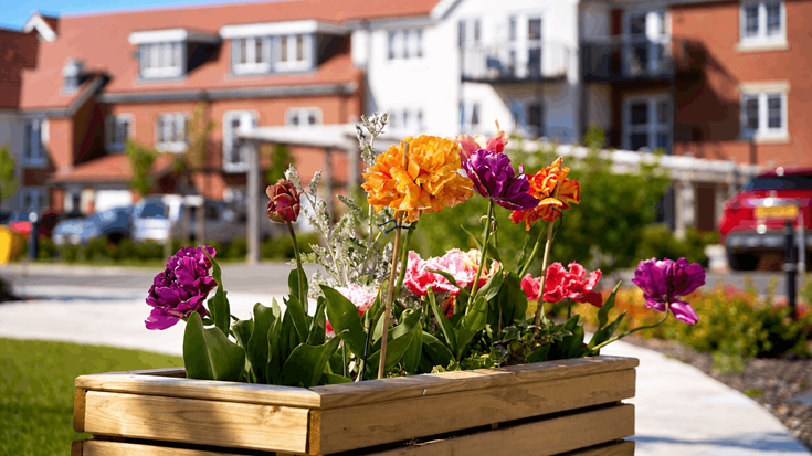 a group of flowers in a wooden box