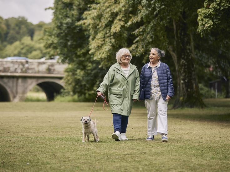 a couple of women walking a dog