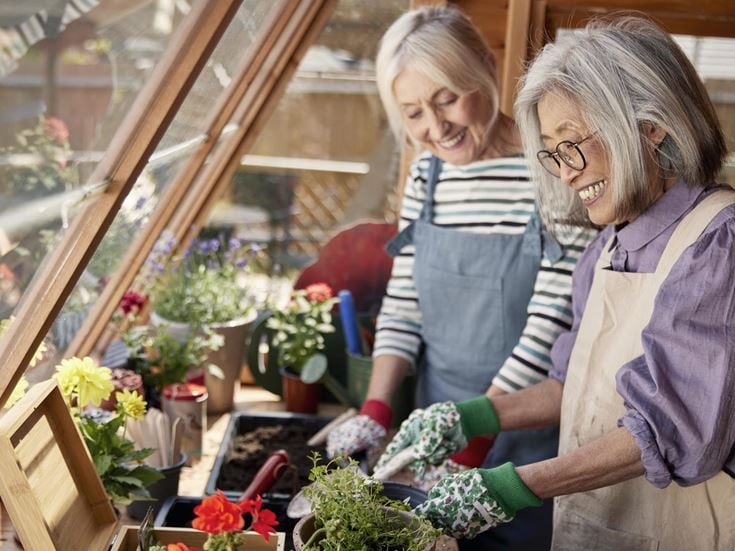 a woman and a girl looking at a plant in a pot
