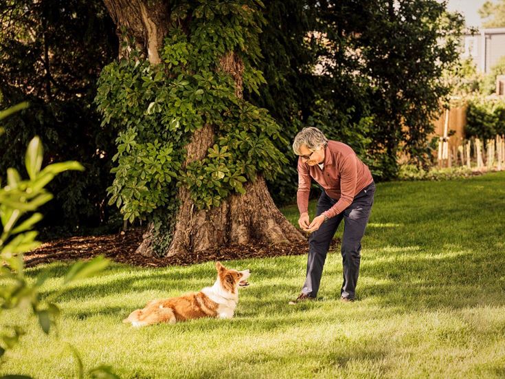 Outside with dog 