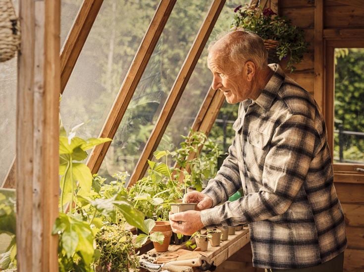 Gardening  at Norton Place
