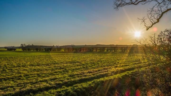 The sunrise over a large green field in Lincolnshire, with woodland in the distance.