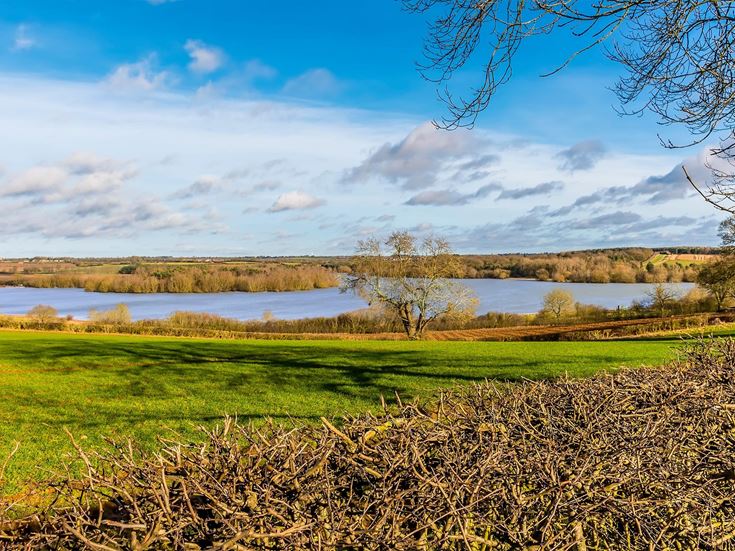 a grassy area next to a body of water