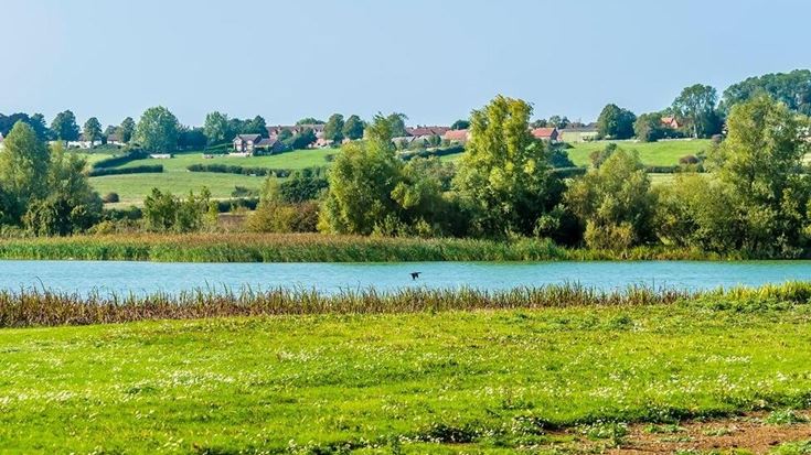 a lake surrounded by grass and trees