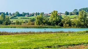 a lake surrounded by grass and trees