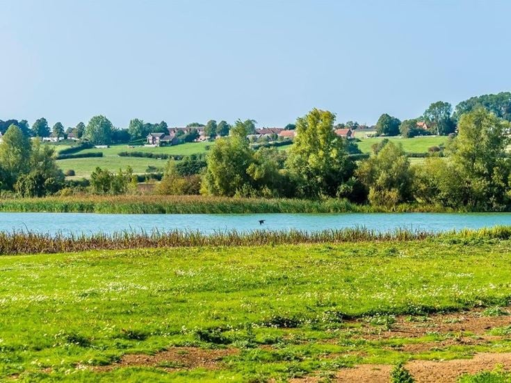 a lake surrounded by grass and trees